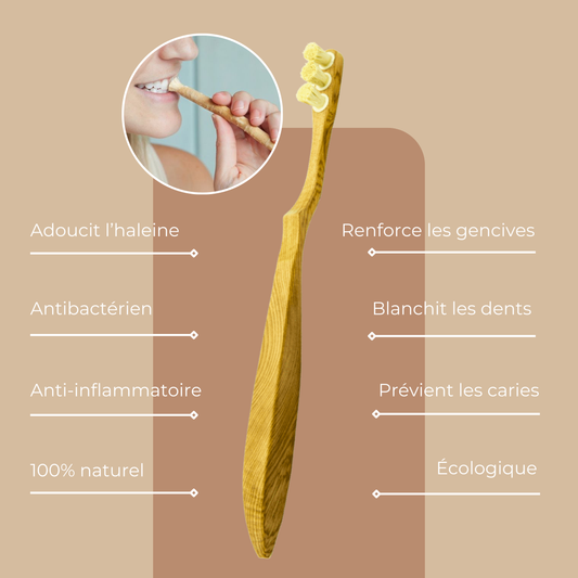Brosse à dents 🪥