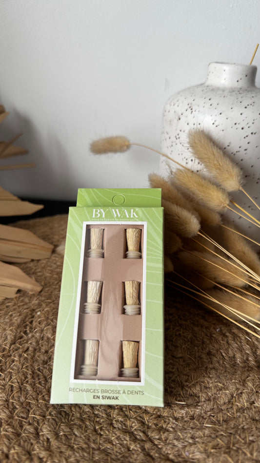 Recharge brosse à dent ♻️